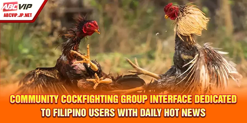 Community Cockfighting Group Interface Dedicated to Filipino Users with Daily Hot News